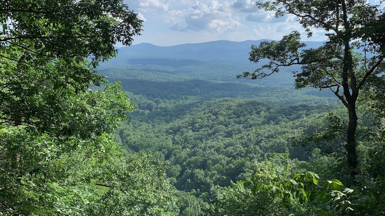Photo of Others in Dawsonville