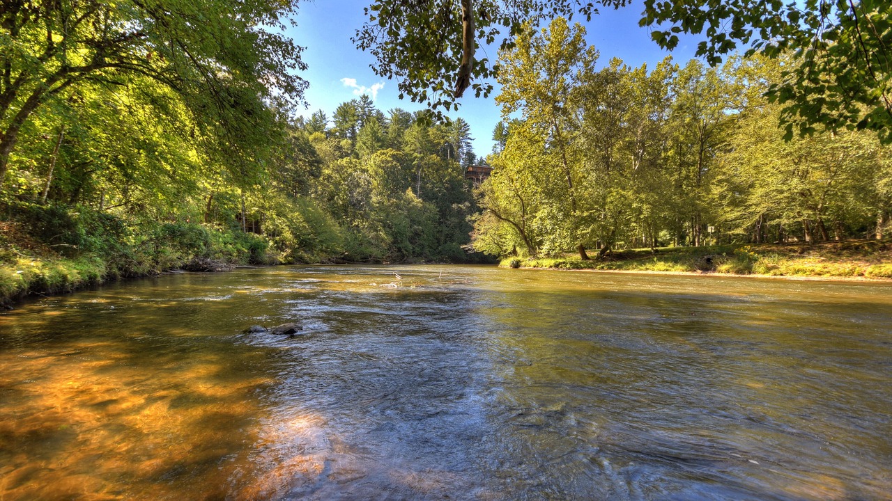 Photo of Others in Ellijay
