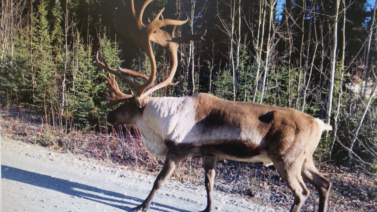 Photo of Others in Sterling