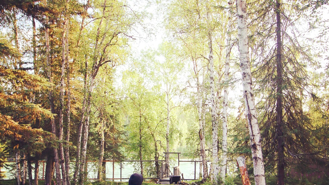 Photo of Others in Soldotna