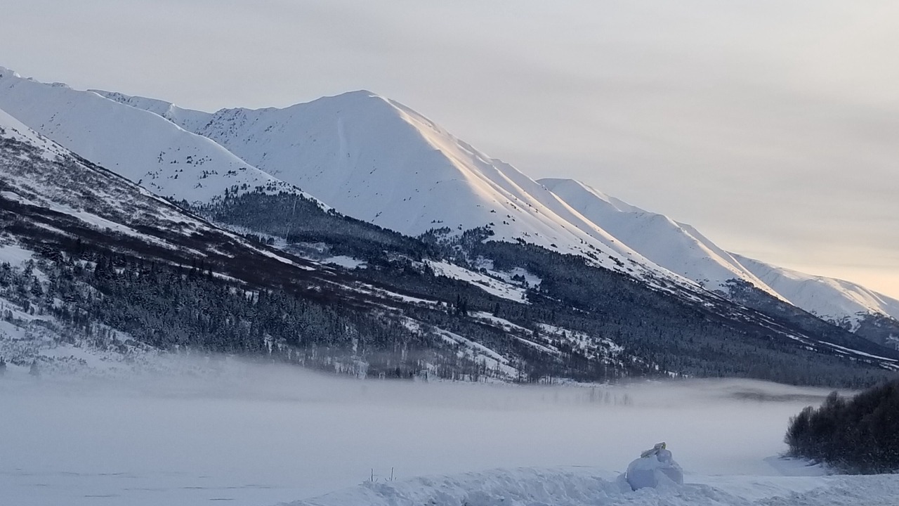 Photo of Others in Cohoe