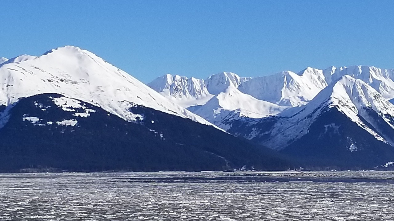 Photo of Others in Cohoe