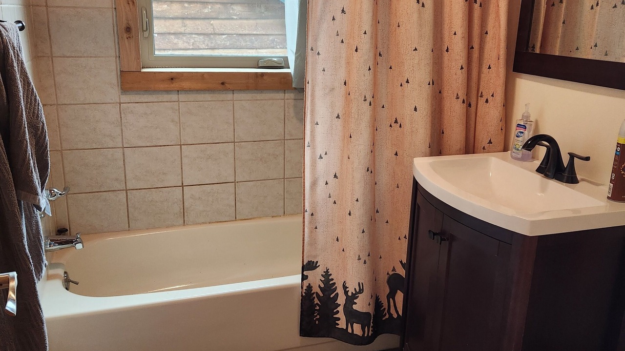 Photo of Bathroom in Lazy Mountain