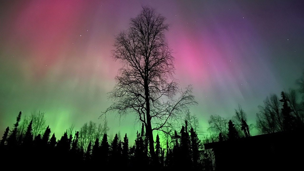 Photo of Others in Knik-Fairview