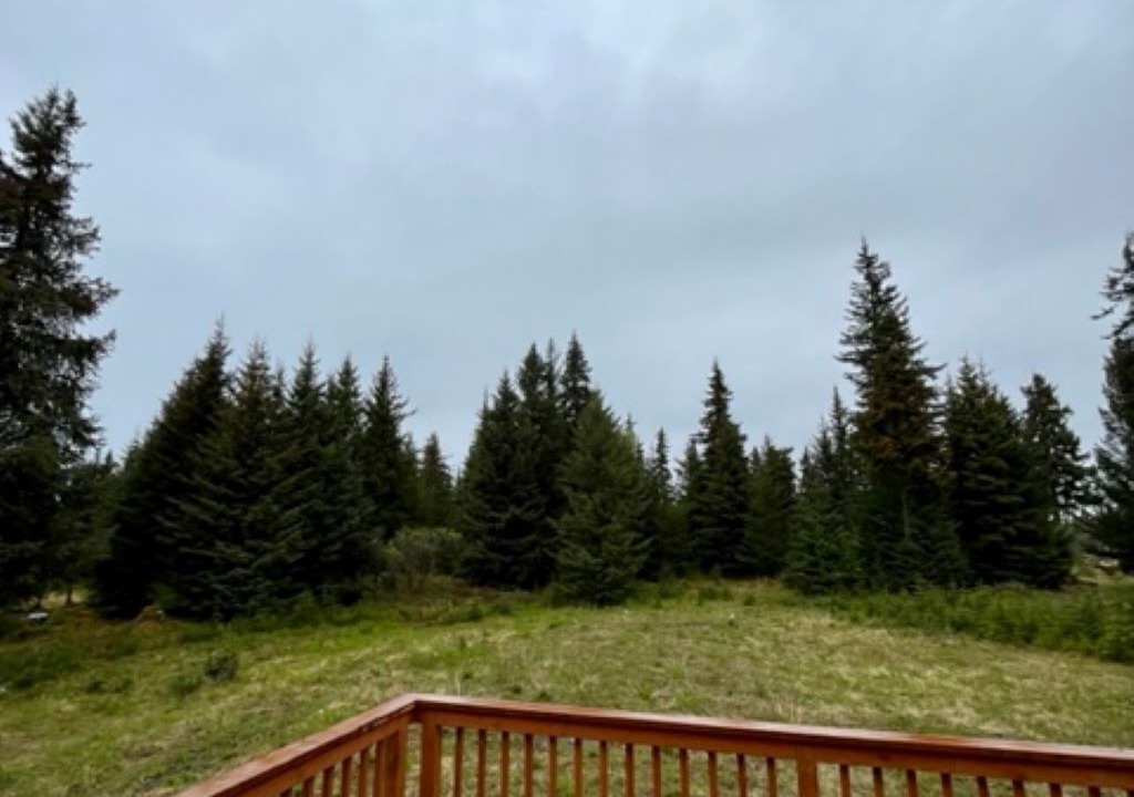 Photo of Outdoor in Anchor Point