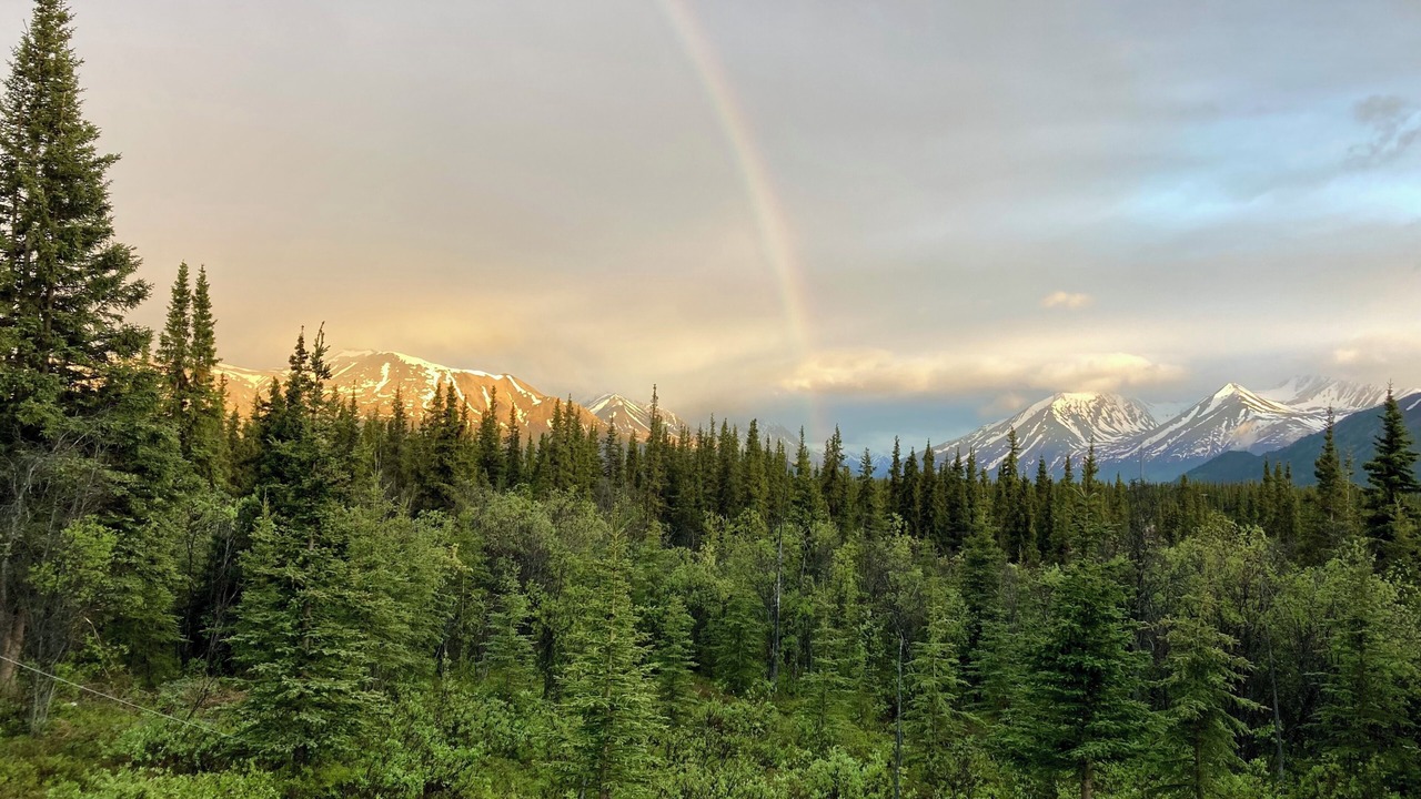 Photo of Others in McKinley Park