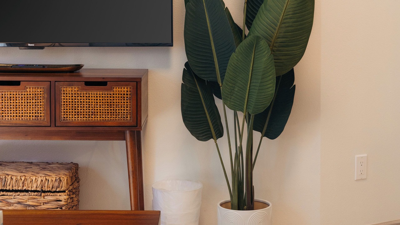 Photo of Livingroom in Downtown Honolulu