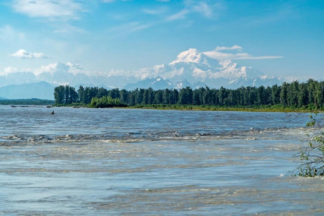 Photo of Others in Talkeetna