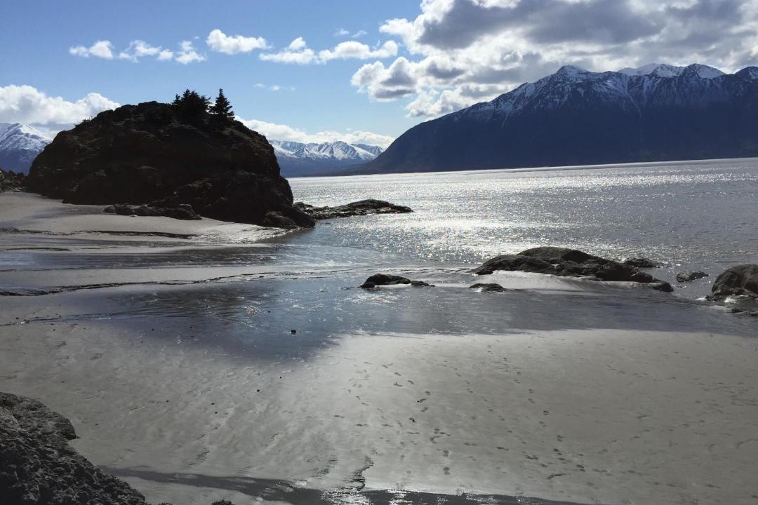 Photo of Others in Turnagain