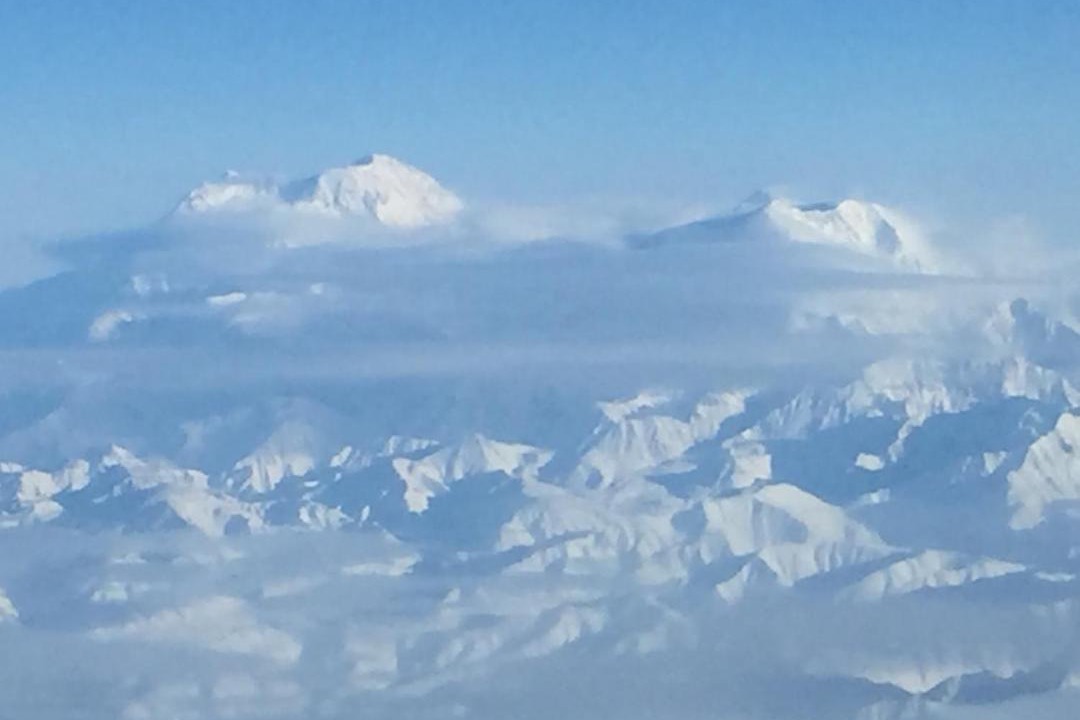 Photo of Others in Turnagain