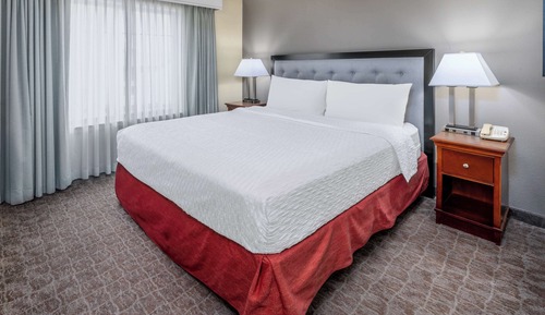 Suite, 1 Bedroom