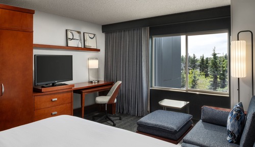 Room, 1 King Bed (Hearing Accessible)