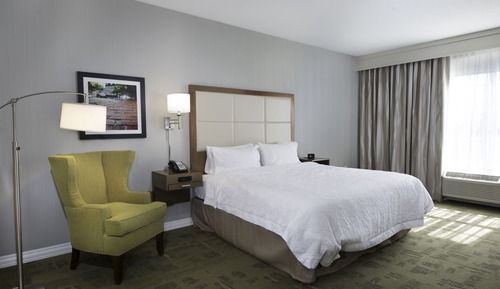 Room, 1 King Bed with Sofa bed, Accessible, Bathtub